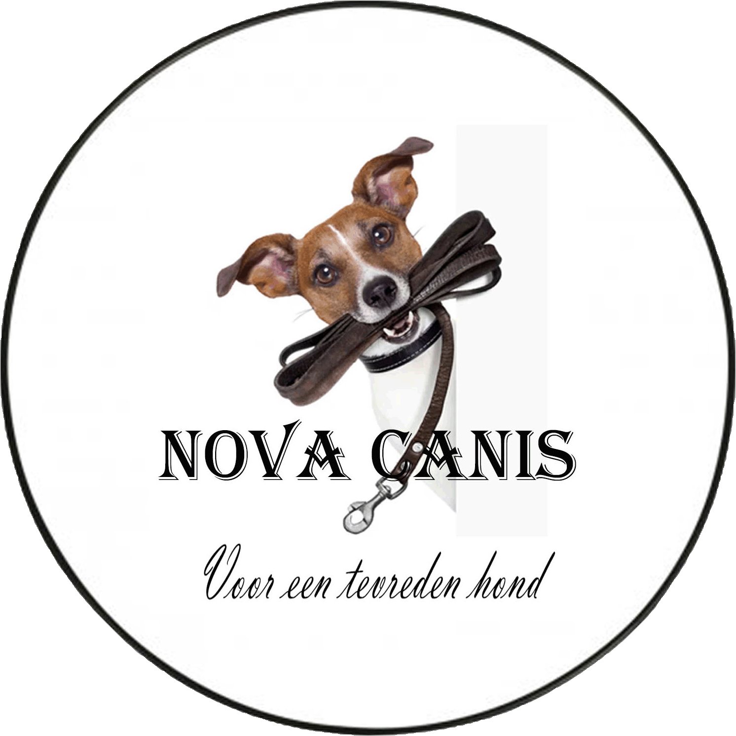 Hondenuitlaatservice NOVA CANIS te Gorinchem