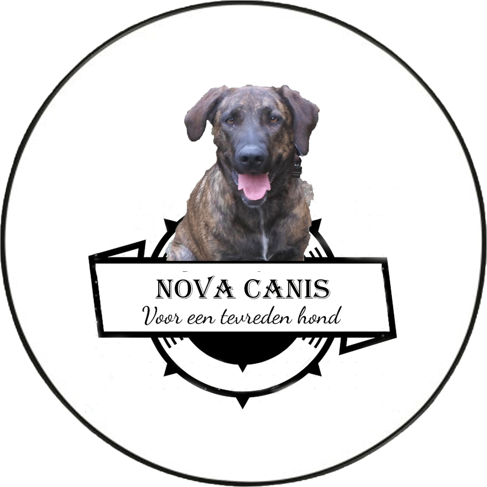 Hondenuitlaatservice NOVA CANIS te Gorinchem